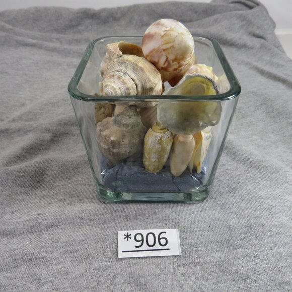 REAL Sea Shells in a Glass Square Vase and sand #13 - Picture 4 of 7